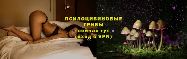apvp Алексеевка