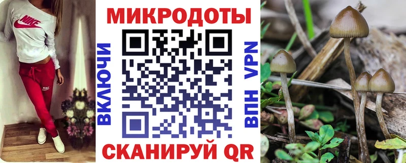 Галлюциногенные грибы Magic Shrooms  цены наркотик  Биробиджан 