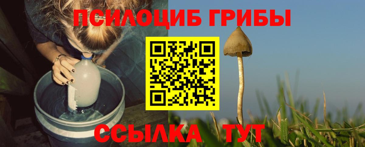 Галлюциногенные грибы GOLDEN TEACHER  где продают наркотики  Псилоцибиновые грибы Cubensis  Биробиджан  Вход с VPN 